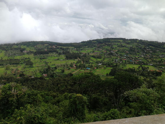 Looking over a very fertile area